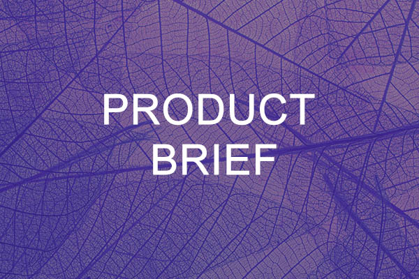 Product Brief Template