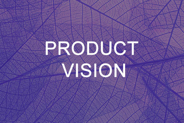 Product Vision Template