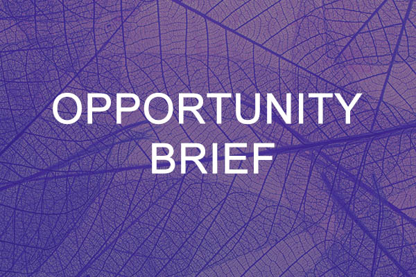 Opportunity Brief Template